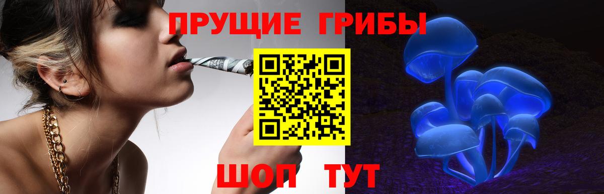 Псилоцибиновые грибы MAGIC MUSHROOMS  Вход с VPN  Щёлково 
